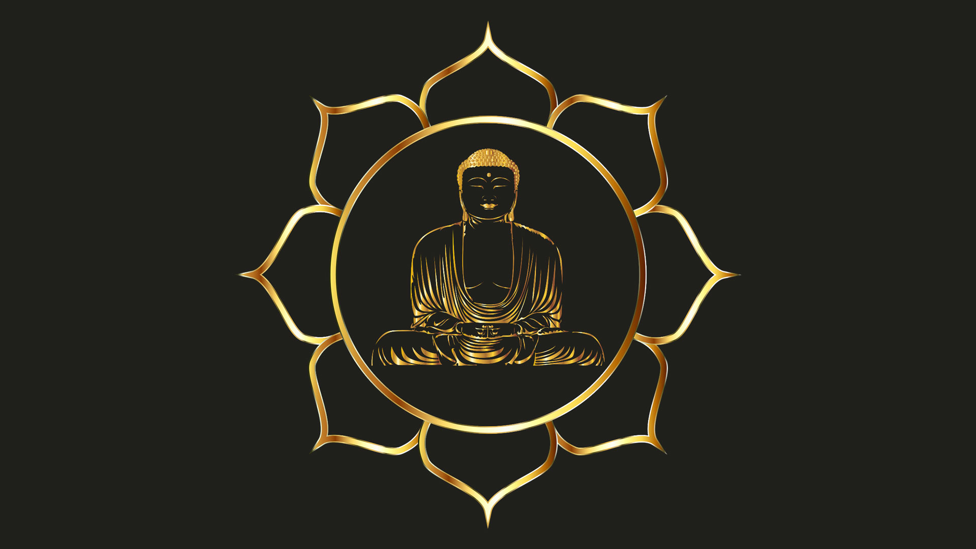 The Dharma Unfolds