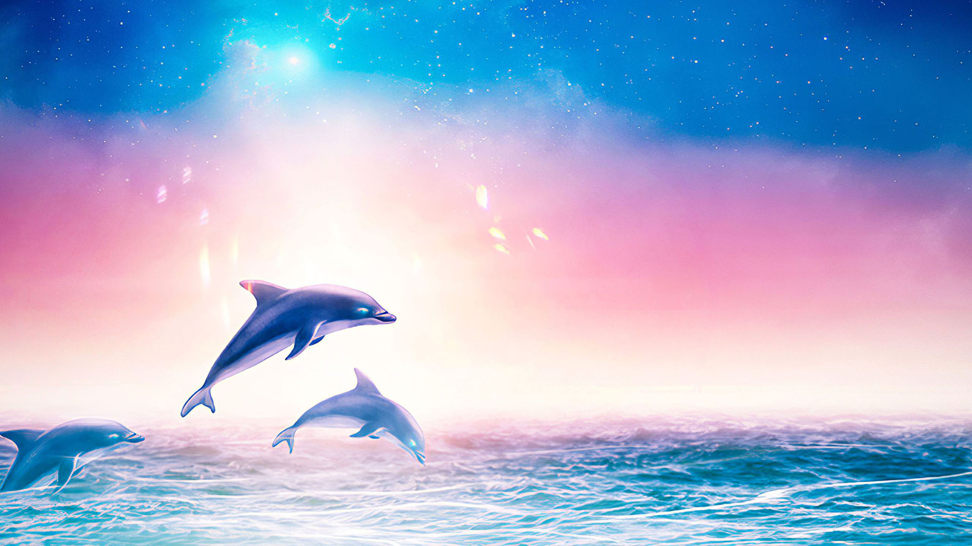 Hooray for Dolphins!